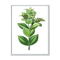 Дизајн на „Антички зелени лисја Растенија VI“ Традиционална врамена платно wallидна уметност печатење