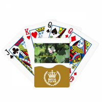 Лотус Лето Арт Деко Мода Кралската Флеш Покер Игра Со Карти