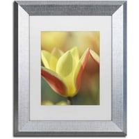 Трговска марка ликовна уметност „Tulip Tinka“ Canvas Art by Cora Niele, бела мат, сребрена рамка