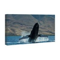 Студио Винвуд Студио Наутичко и крајбрежно wallидно уметноста на платното „кит на кит“ на Хаваи од Дејвид Флитам „Морски живот“