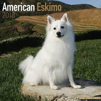Американски Ескимски Календар-Календар За Раса На Кучиња-Ѕиден Календар 2017-
