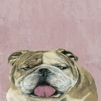 Мармонт Хил Шармантно куче Сликарство печатење на завиткано платно
