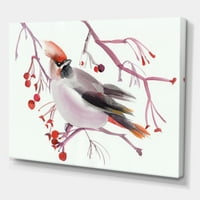 Waxwing Bird што седи на гранка сликарство платно уметнички принт